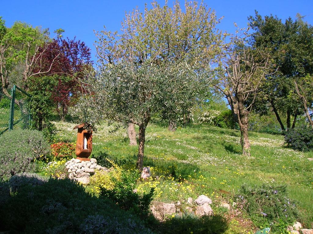 B&B Il Suono Del Bosco Arcugnano Kültér fotó