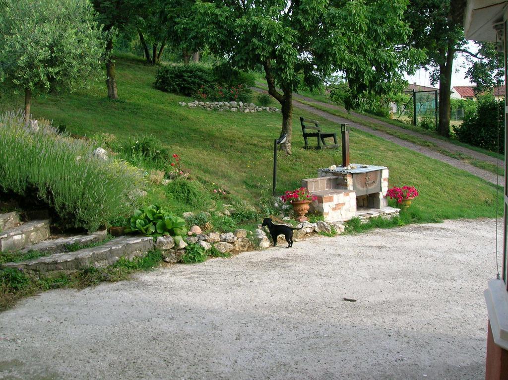 B&B Il Suono Del Bosco Arcugnano Kültér fotó