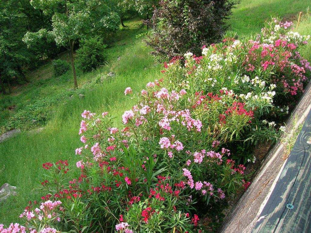 B&B Il Suono Del Bosco Arcugnano Kültér fotó