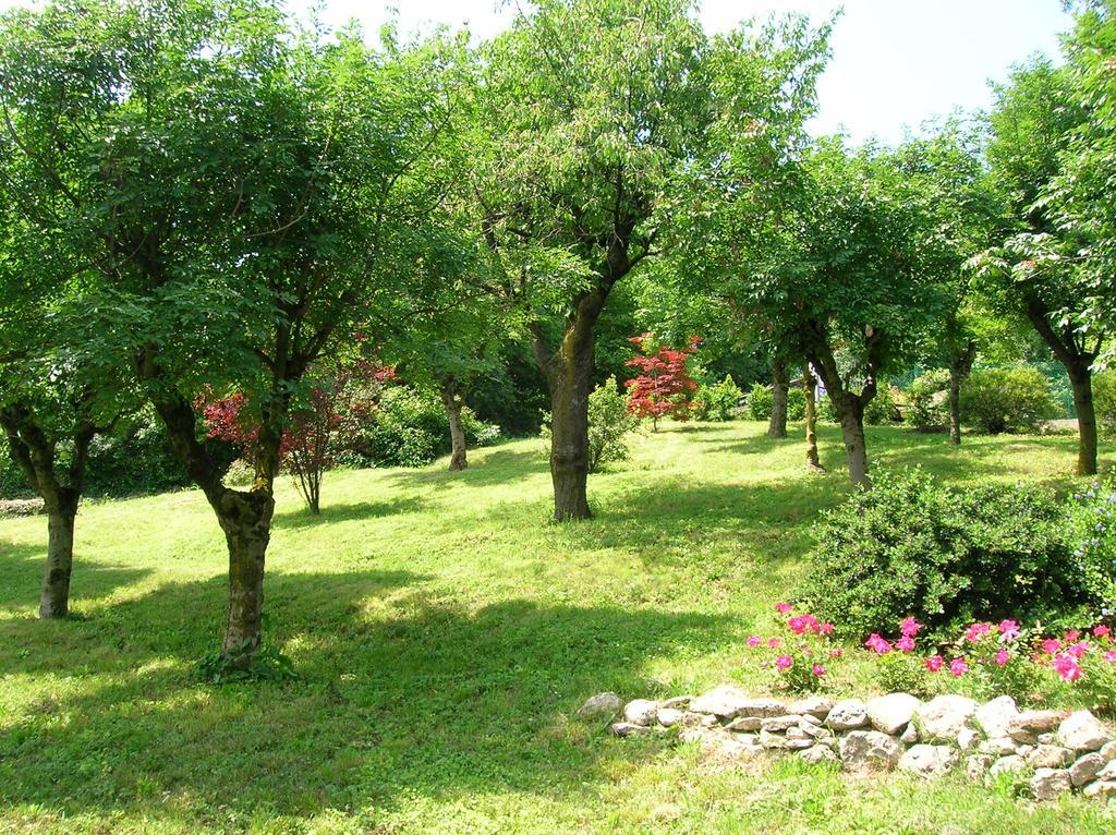 B&B Il Suono Del Bosco Arcugnano Kültér fotó