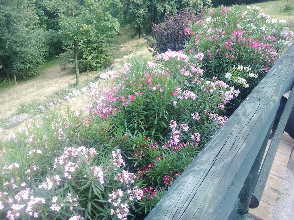 B&B Il Suono Del Bosco Arcugnano Kültér fotó